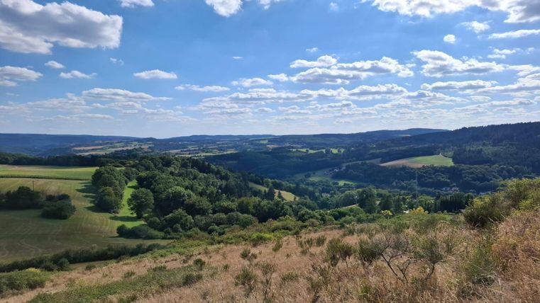 Eine weite Landschaft mit sanften Hügeln und grünen Wiesen unter einem klaren Bla sky. Die Wolken ziehen sanft über den Himmel.