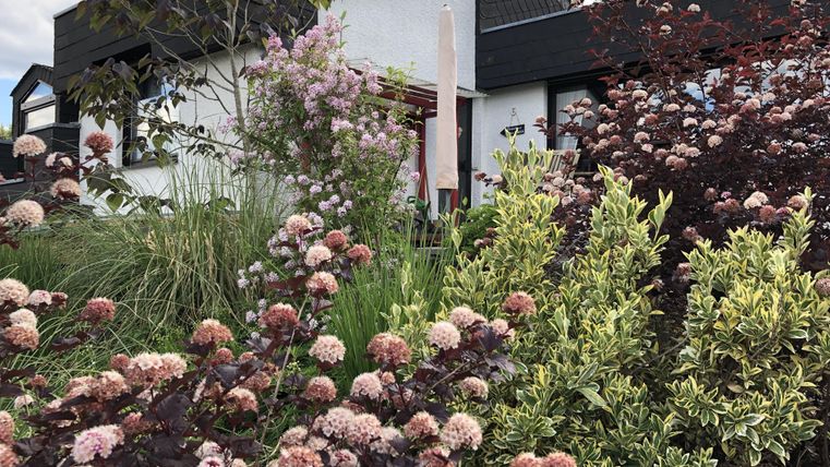 Ein schöner Garten mit bunten Blumen und Sträuchern. Im Hintergrund ist ein modernes Haus zu sehen.