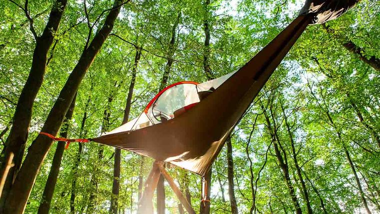 Baumzelt im Wald
