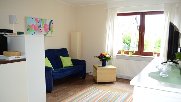 Ein gemütliches Wohnzimmer mit einem blauen Sofa und bunten Kissen. Ein Fenster lässt viel Tageslicht herein, und ein kleiner Tisch mit einer Blumenvase steht in der Ecke.