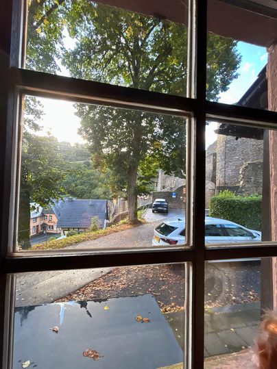 Eine Sicht durch ein Fenster auf eine malerische Straße mit Bäumen und Häusern. Die Sonne scheint und es liegt ein ruhiges Ambiente in der Luft.