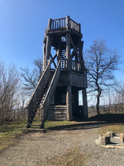 Holzaussichtsturm mit Treppe und Geländer, umgeben von kahlen Bäumen unter blauem Himmel.