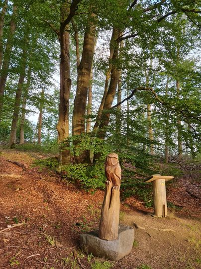 Eine Holzskulptur einer Eule steht in einem Wald mit hohen Bäumen. Die Umgebung ist grün und ruhig, ideal für einen Spaziergang in der Natur.