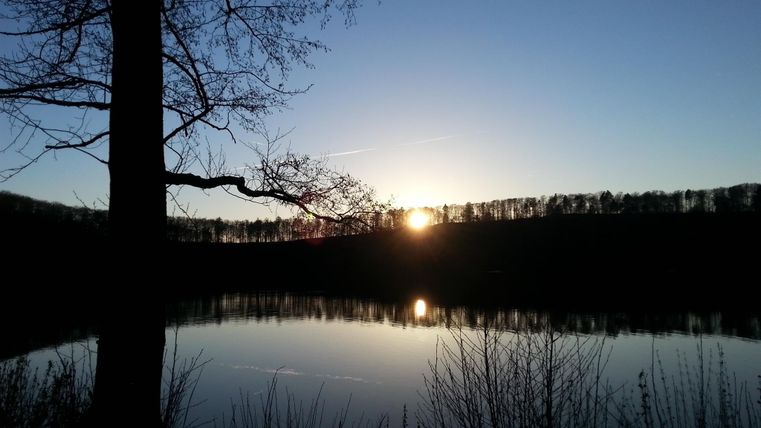 Ein malerischer Sonnenuntergang über einem ruhigen See. Bäume rahmen das Bild ein und spiegeln sich sanft im Wasser.