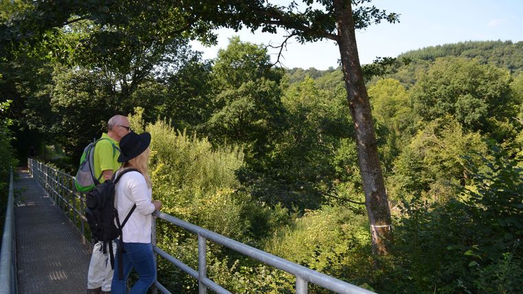 Zwei Personen stehen auf einer Aussichtsplattform und schauen in eine grüne Landschaft. Der Himmel ist klar und sonnig.