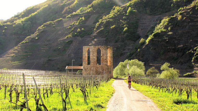 Ein malerischer Weg führt durch Weinberge mit grünen Landschaften. Im Hintergrund steht ein historischer Turm vor sanften Hügeln.
