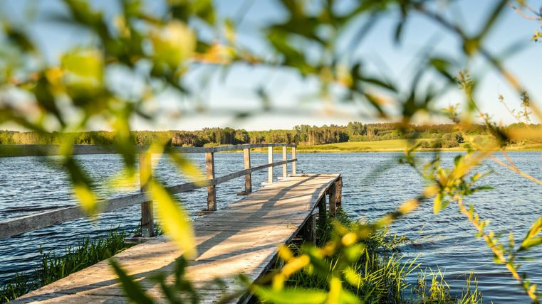 Eine malerische Holzpier erstreckt sich über einen ruhigen See. Im Hintergrund sind grüne Wiesen und Bäume zu sehen.
