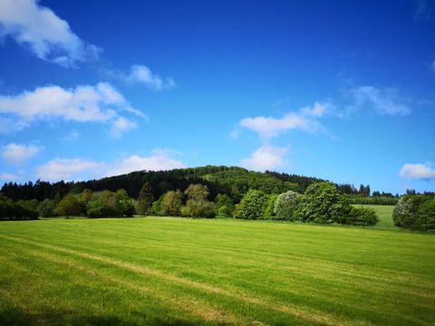 Grüne Wiese vor bewaldetem Hügel unter blauem Himmel mit Wolken.