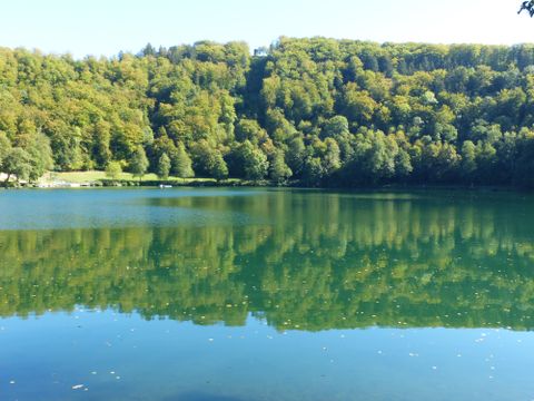 Ein ruhiger See umgeben von grünen Bäumen und sanften Hügeln. Das Wasser spiegelt die Landschaft klar wider.