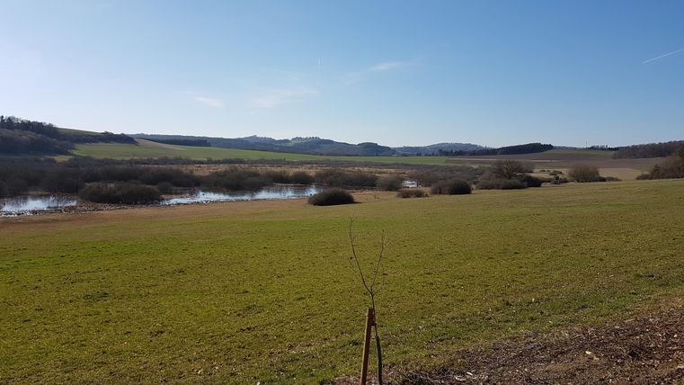 Eine weite, grüne Landschaft mit sanften Hügeln und einem kleinen Gewässer. Der Himmel ist klar und blau.