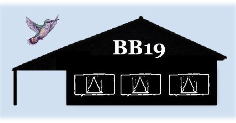 Ein schwarzes Haus mit drei Fenstern und der Aufschrift "BB19". Darüber fliegt ein Kolibri.