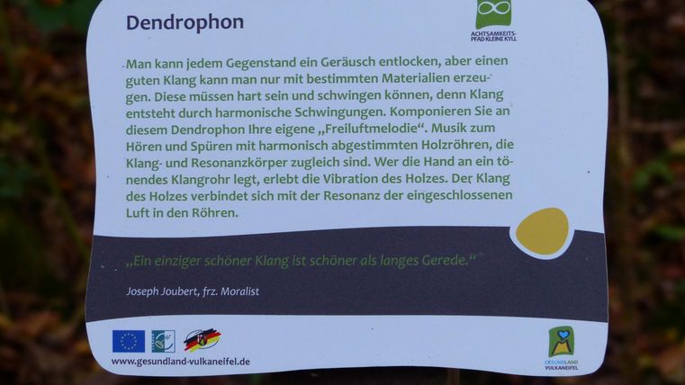 Ein Schild mit Informationen über das Dendophon, ein musikalisches Instrument aus Holz. Es erklärt, wie die Klänge erzeugt werden und lädt zum Hören ein.
