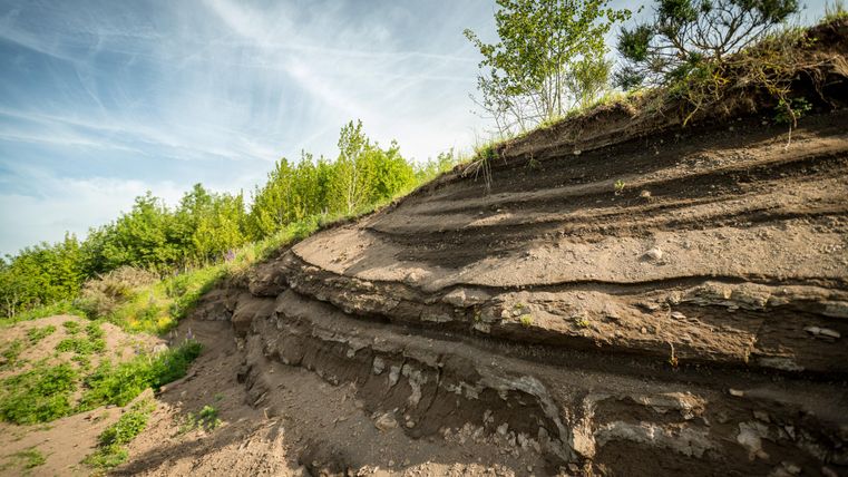 Schichtungen von Vulkangestein am Vulkanpfad Steffeln, umgeben von grüner Vegetation und blauem Himmel.
