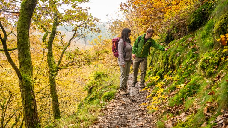 Zwei Wanderer auf einem schmalen, bewaldeten Pfad im Herbst.