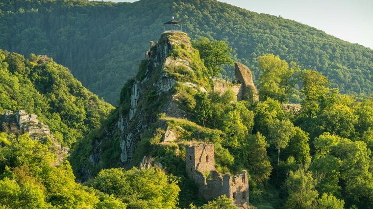 Eine alte Burgruine auf einem bewaldeten Hügel. Im Hintergrund sind sanfte grüne Berge zu sehen.