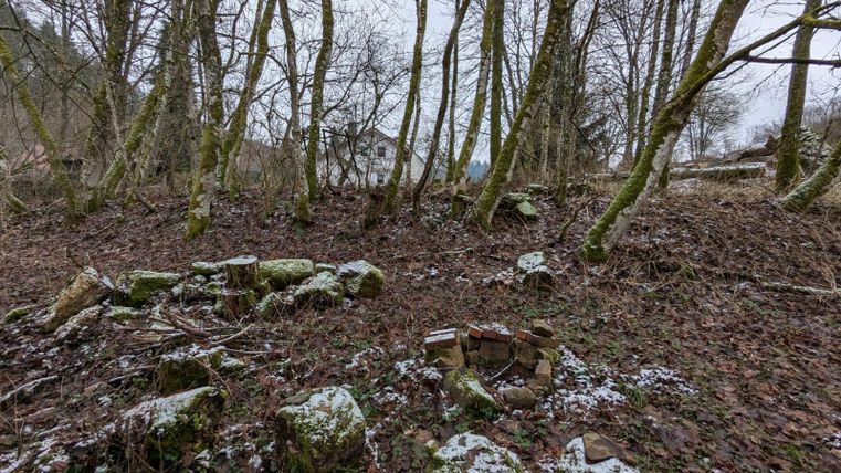 Eine ruhige Waldlandschaft mit schneebedecktem Boden und vielen Bäumen. Im Vordergrund sind einige Steine und ein kleiner Krähenstein zu sehen.
