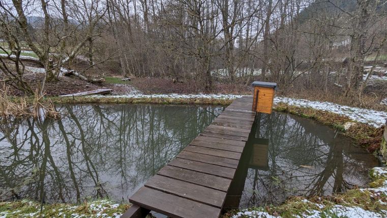 Ein ruhiger Teich umgeben von Bäumen, mit einem Holzsteg, der zum Wasser führt. Es liegt etwas Schnee auf dem Boden und die Atmosphäre ist still und friedlich.
