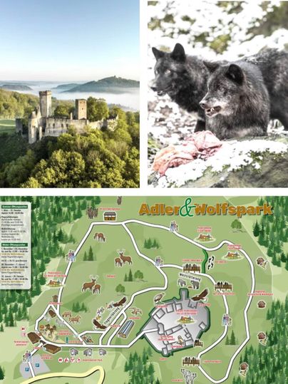 Ein malerisches Schloss in den Hügeln, umgeben von Bäumen und Nebel. Zwei Schwarzfüchse stehen in einer verschneiten Umgebung.
