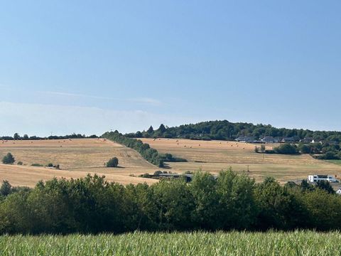 Eine Gruppe von Radfahrern hält an einer Straße in der Nähe von Weinbergen. Die Landschaft ist grün und friedlich, mit sanften Hügeln im Hintergrund.
