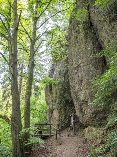 <p><p>Wanderweg durch einen grünen Wald mit hohen Bäumen und einer steilen Felswand. Aus Entfernung ist die Eishöhle erkennbar <p>