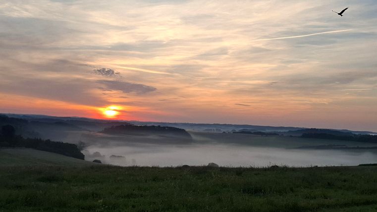 Eine malerische Landschaft bei Sonnenaufgang mit sanften Hügeln und Nebel im Tal. Der Himmel ist in sanften Farben gehüllt, während ein Vogel darüber fliegt.