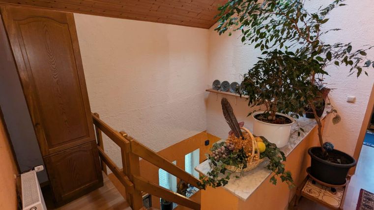 Ein heller Flur mit Holzverkleidung und einer großen Pflanze. Die Treppe führt nach unten, wo sich weitere Pflanzen und Dekorationen befinden.