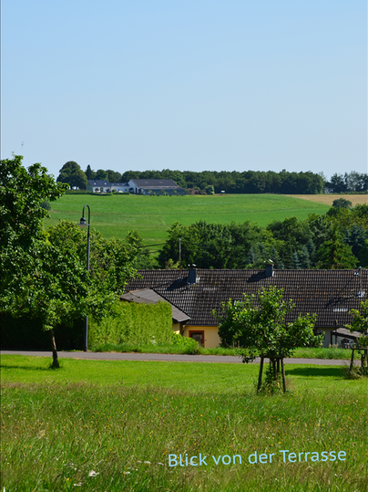 Ein Blick von der Terrasse auf grüne Wiesen und strahlend blauen Himmel. Im Vordergrund sind einige Häuser und Bäume zu sehen.