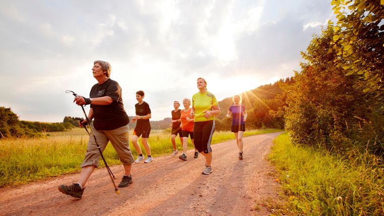 Eine Gruppe von Menschen wandert auf einem Weg in der Natur. Es ist ein sonniger Tag mit viel grünem Gras und Bäumen im Hintergrund.