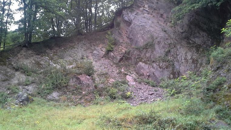 Eine steile Felswand mit Gras und Büschen im Vordergrund. Umgeben von Bäumen in einer natürlichen Umgebung.