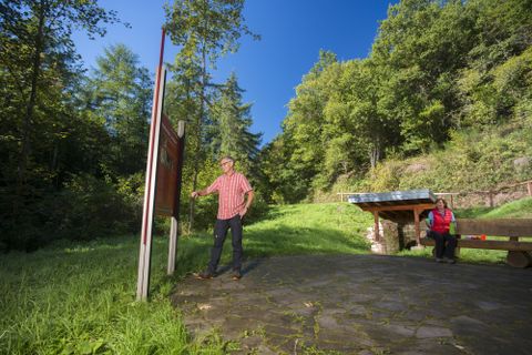 Eine Person steht an einem Informationsschild im Grünen. Im Hintergrund sind Bäume und eine Bank zu sehen.
