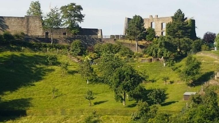 Eine grüne Hügellandschaft mit alten Ruinen und vielen Bäumen. Im Hintergrund sind Überreste einer Burg sichtbar.