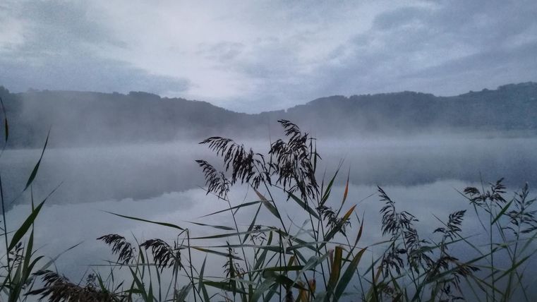 Ein ruhiger See mit nebliger Oberfläche und sanften Hügeln im Hintergrund. Gräser am Ufer verleihen der Szene eine friedliche Atmosphäre.
