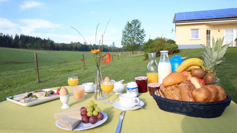Ein reichhaltiges Frühstück im Freien mit frischem Obst, Brötchen und Getränken. Im Hintergrund ist eine grüne Wiese und ein einfaches Haus zu sehen.