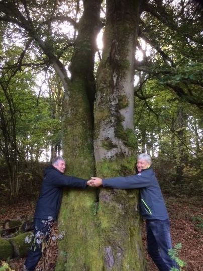 Zwei Männer umarmen einen großen Baum in einem Wald. Die Umgebung ist grün und von Bäumen umgeben, mit sanftem Licht, das durch die Blätter strömt.