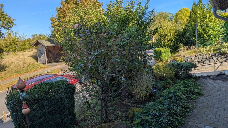 Ein Garten mit grünen Sträuchern und Bäumen. Im Hintergrund ist ein rotes Auto und eine ländliche Umgebung zu sehen.