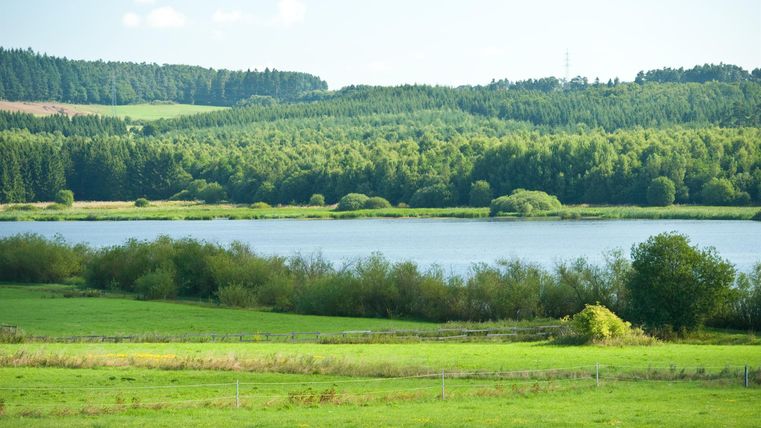 Eine ruhige Landschaft mit grünen Wiesen und einem klaren See. Im Hintergrund sind sanfte Hügel und Bäume zu sehen.