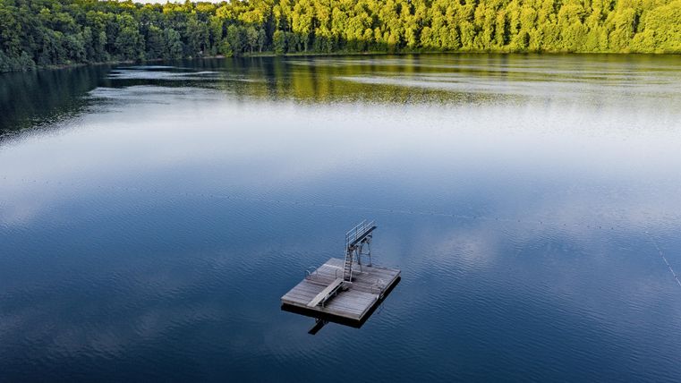 Ein ruhiger See mit einem Holzsteg in der Mitte. Umgeben von grünen Bäumen und klarem, blauem Himmel.
