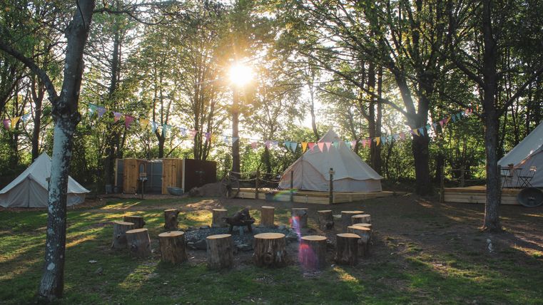 Ein gemütlicher Campingplatz mit Zelt und einer Feuerstelle aus Baumstämmen. Im Hintergrund leuchtet die Sonne durch die Bäume und bunte Fahnen wehen im Wind.