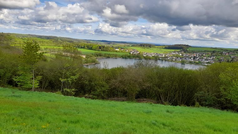 Eine grüne Landschaft mit Bäumen und einem ruhigen See. Im Hintergrund sind kleine Häuser und eine wolkige Himmel zu sehen.