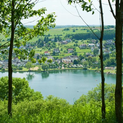 Ein malerischer Blick auf einen See, umgeben von grünen Wäldern und sanften Hügeln. Im Hintergrund sind kleine Häuser und Weiden zu sehen.
