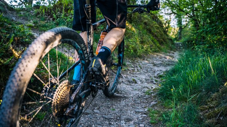 Nahaufnahme eines Mountainbikers auf einem steinigen Waldweg.