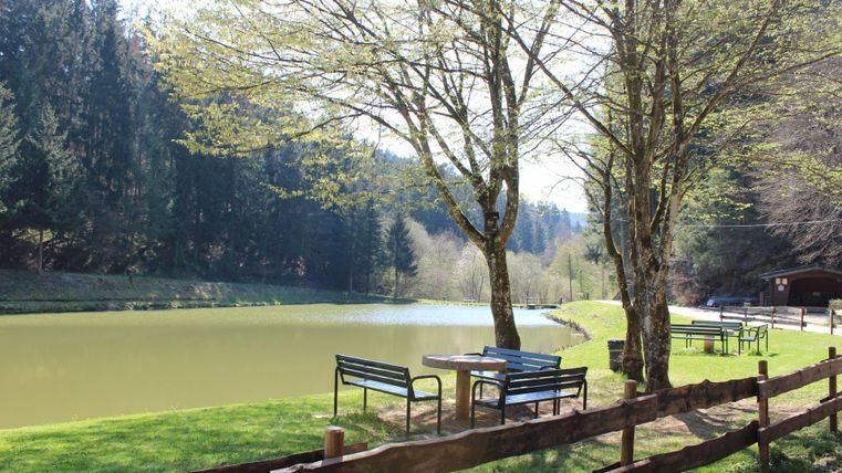 Ein ruhiger Teich umgeben von Bäumen und Wiesen. Neben dem Wasser stehen Bänke zum Entspannen.