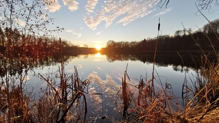 Ein ruhiger See bei Sonnenuntergang, umgeben von Bäumen und sanften Wolken. Die Farben spiegeln sich friedlich im Wasser.