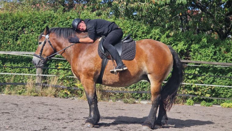 Ein Reiter liegt entspannt auf einem Pferd in einer Reitarena. Im Hintergrund sind grüne Pflanzen zu sehen.