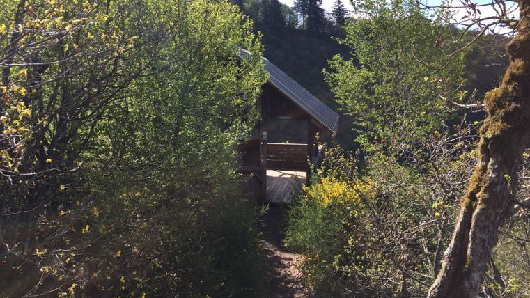 Eine Holzhütte auf einem Waldpfad, umgeben von Bäumen und Sträuchern.
