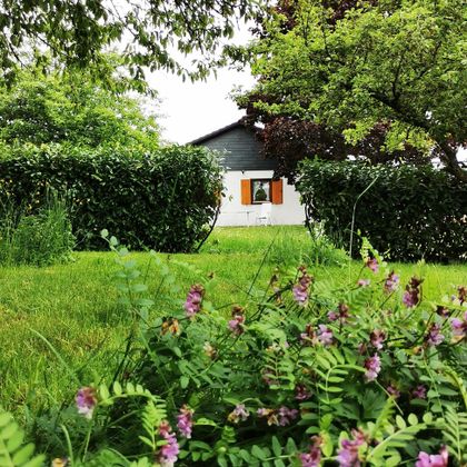 Ein Haus umgeben von grünem Garten und Sträuchern. Vorne blühen pinke Blumen im Gras.