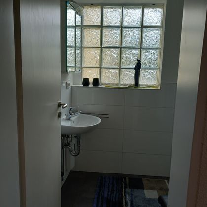 A modern bathroom with a sink and stylish decorations. Bathed in light from a window made of glass blocks.