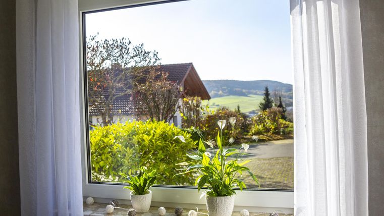 Blick aus einem Fenster auf eine grüne Landschaft mit einem Haus im Hintergrund. In der Fensterbank stehen zwei Pflanzen.