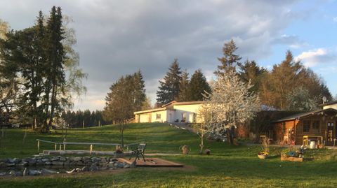 Eine ruhige Landschaft mit einem großen grünen Garten und mehreren Bäumen. Im Hintergrund sieht man ein Wohnhaus und ein kleines Holzgebäude.