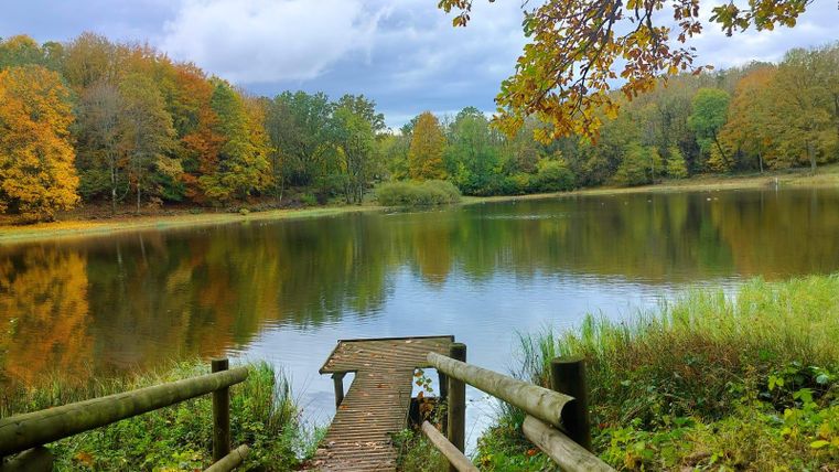 Ein ruhiger See umgeben von buntem Herbstlaub. Der Himmel ist bewölkt und die Stimmung ist friedlich.